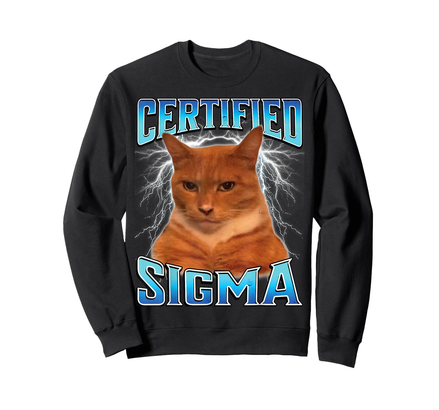 Certified Sigma Funny Staring Cat Meme Sarcastic Silly Cat T-Shirt