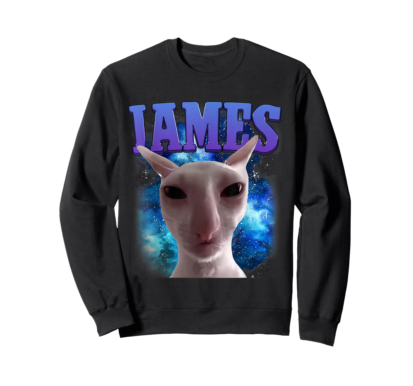 James The Cat Meme Funny Silly Cats Brainrot Meme Cat Lover T-Shirt