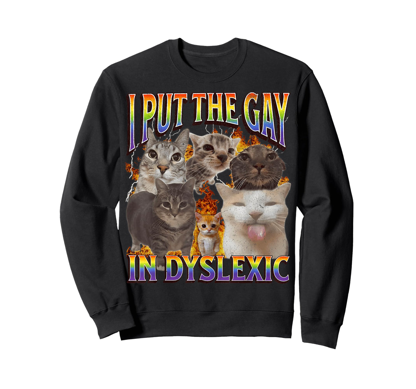 I Put The Gay in Dyslexic Funny Cat Meme Bootleg Funny Retro T-Shirt