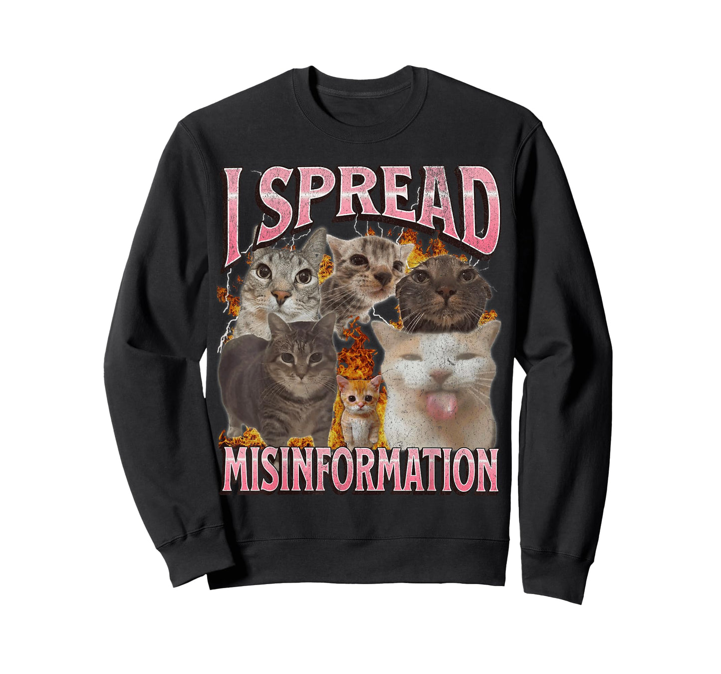 I Spread Misinformation Funny Cat Meme Bootleg Graphic T-Shirt for Men Women