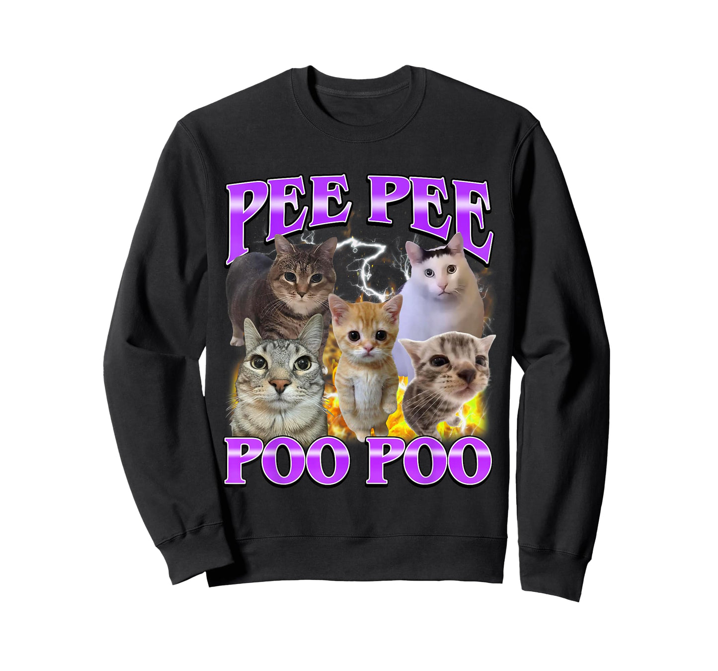 Pee Pee Poo Poo Funny Offensive Cat Meme Men Women T-Shirt