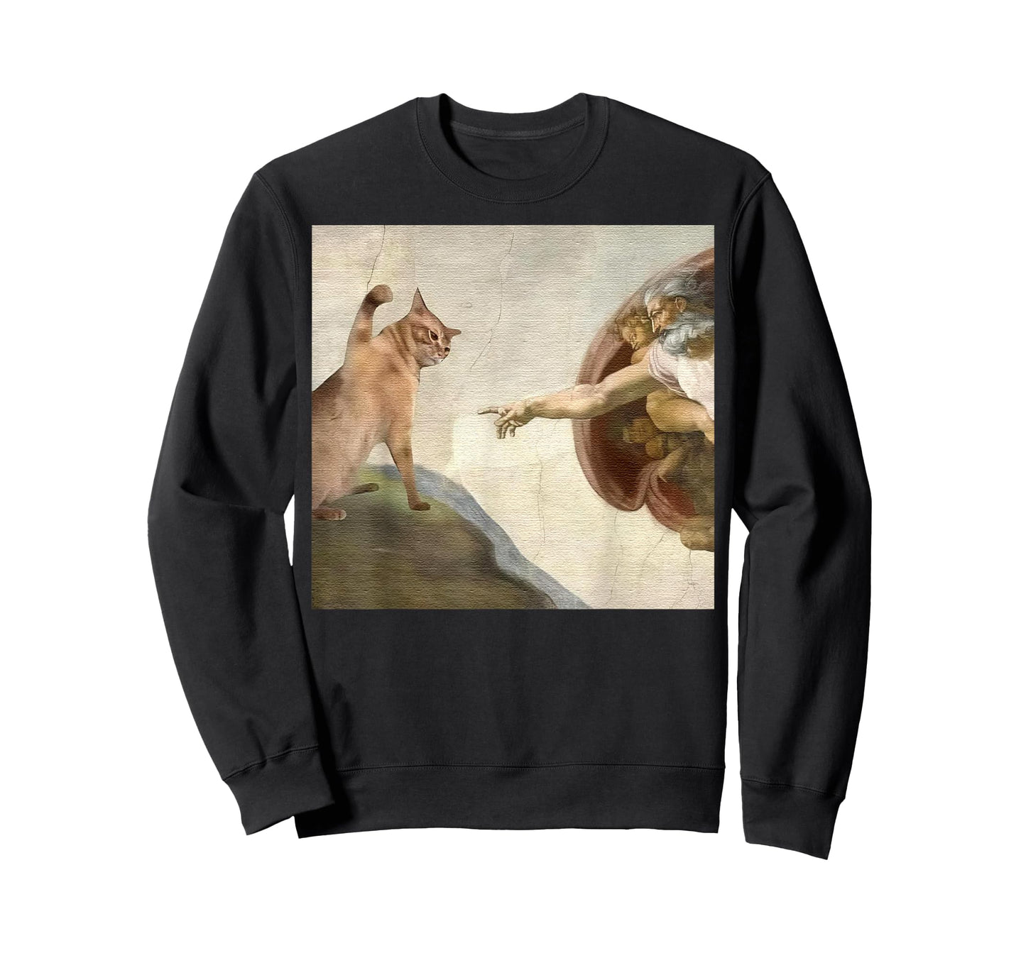 The Divine Swipe Funny Cat Swatting God's Hand Parody Cat T-Shirt