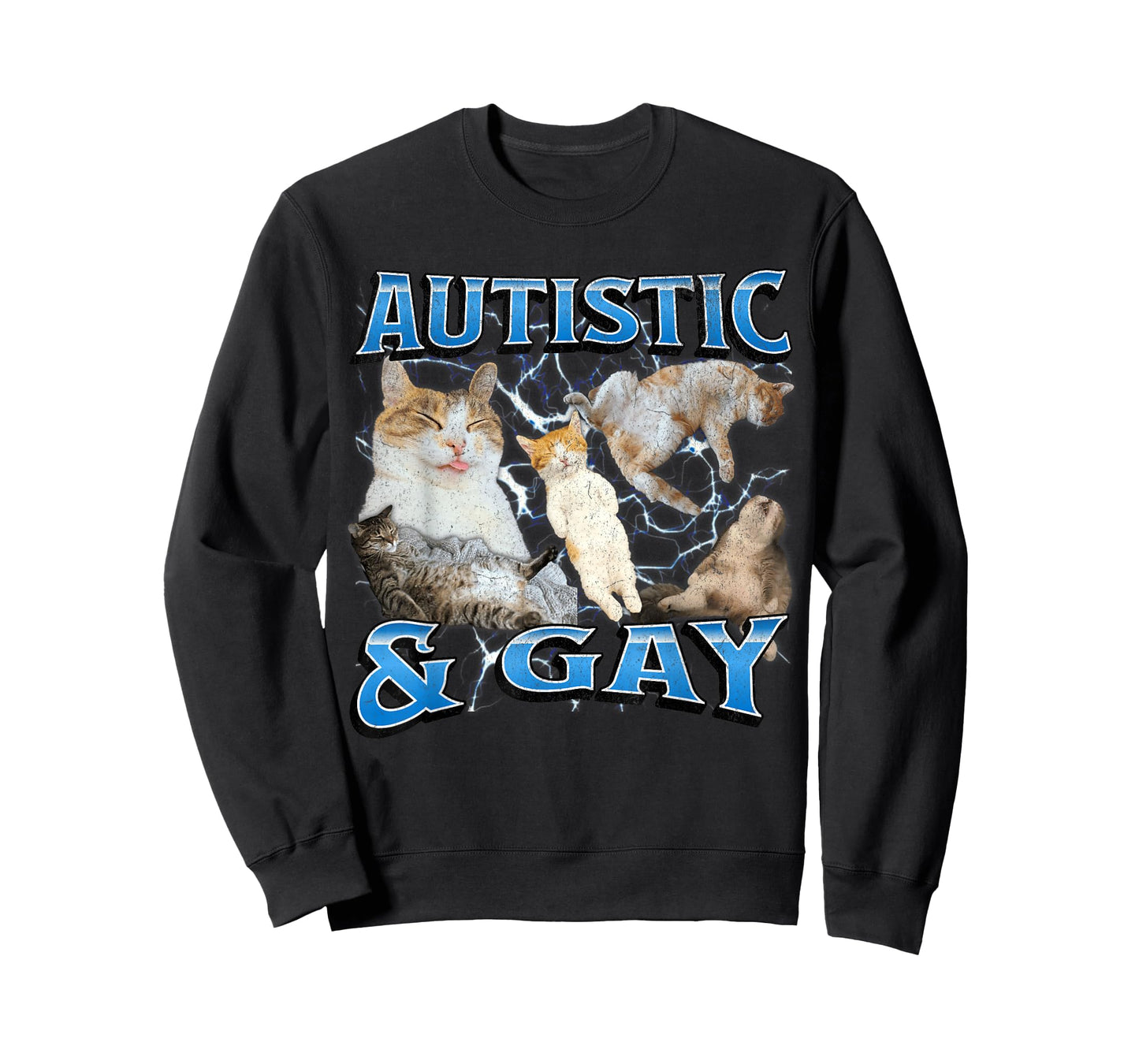 Autistic and Gay Funny Cat Meme Bootleg Graphic T-Shirt