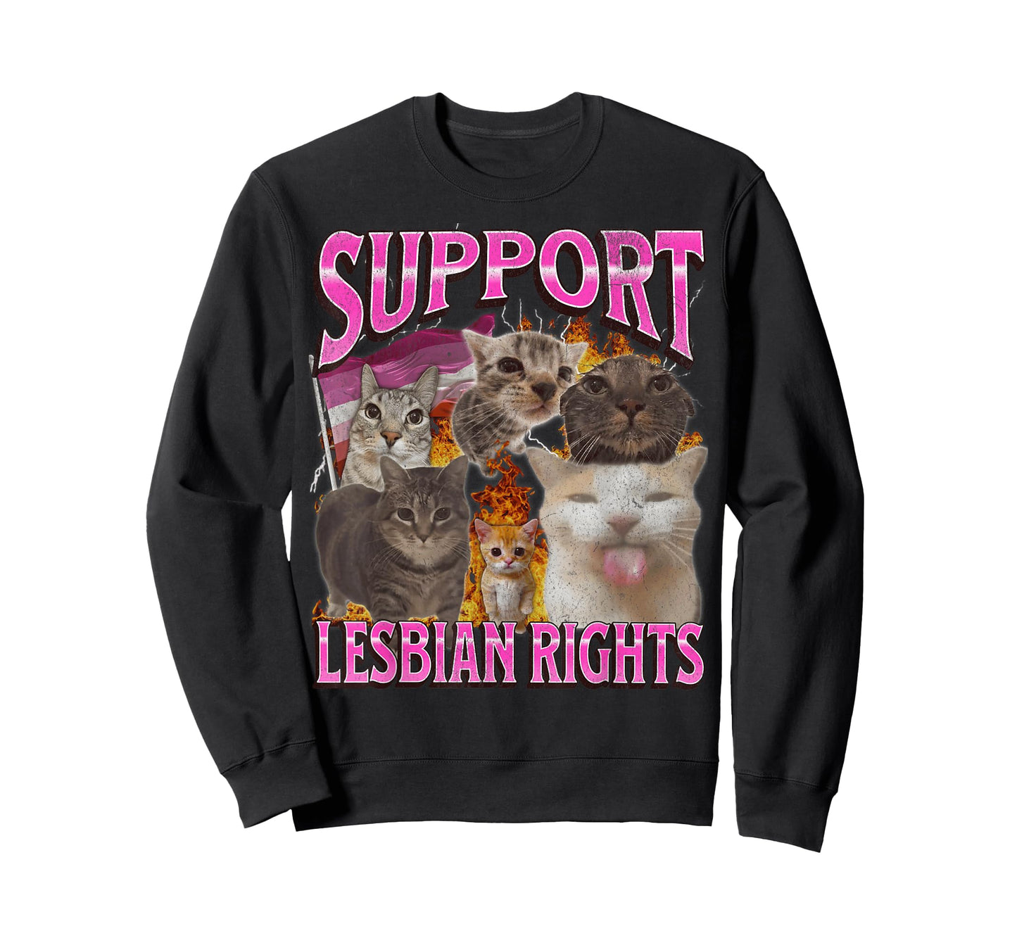Support Lesbian Rights Funny Gay Cat Meme Bootleg Graphic T-Shirt for Men Women