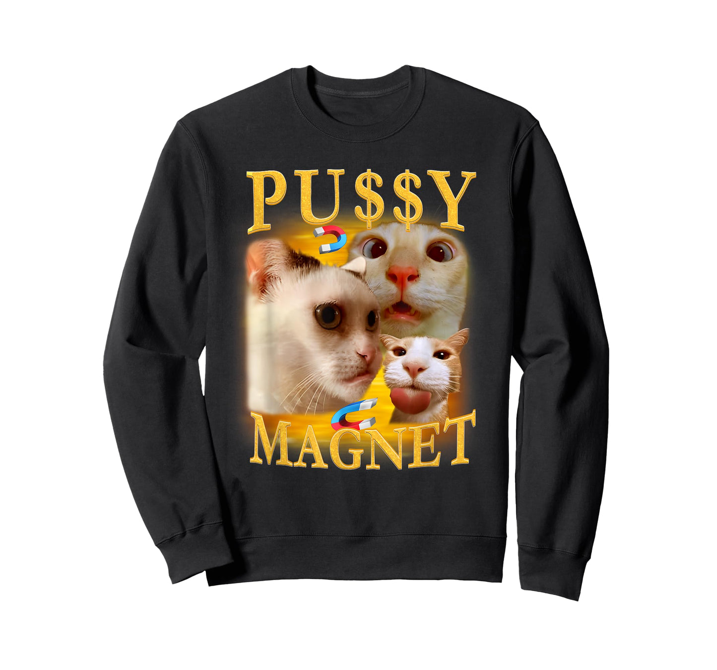 Ironic Cat Magnet Meme Funny Sarcastic Offensive Humor T-Shirt