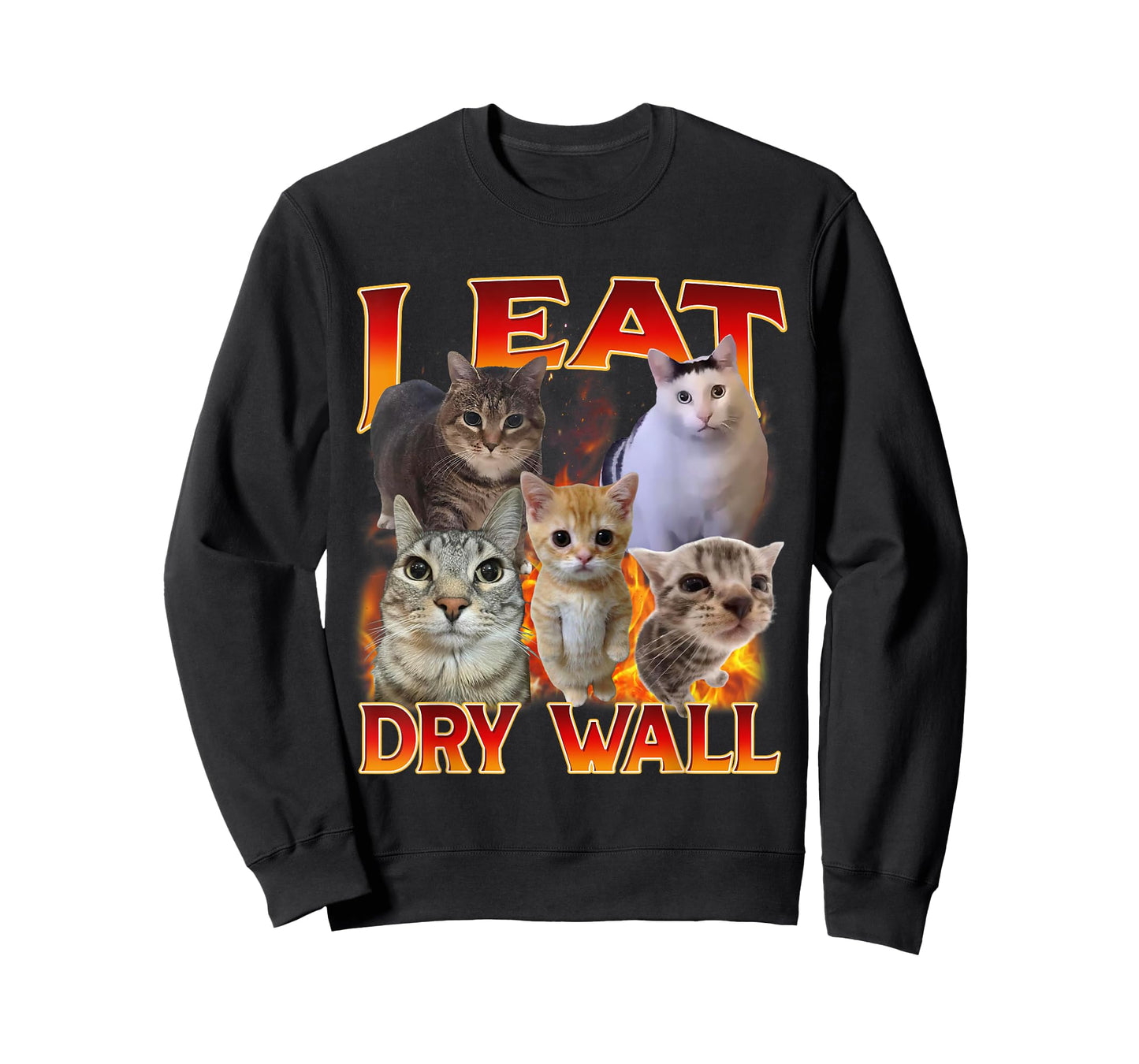 I Eat Dry Wall I Eat Cement Funny Cat Meme Bootleg Graphic T-Shirt