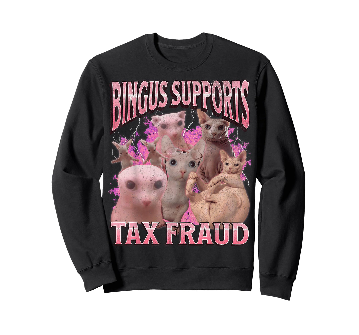Bingus Supports Tax Fraud Funny Sphinx Cat Meme Bootleg T-Shirt