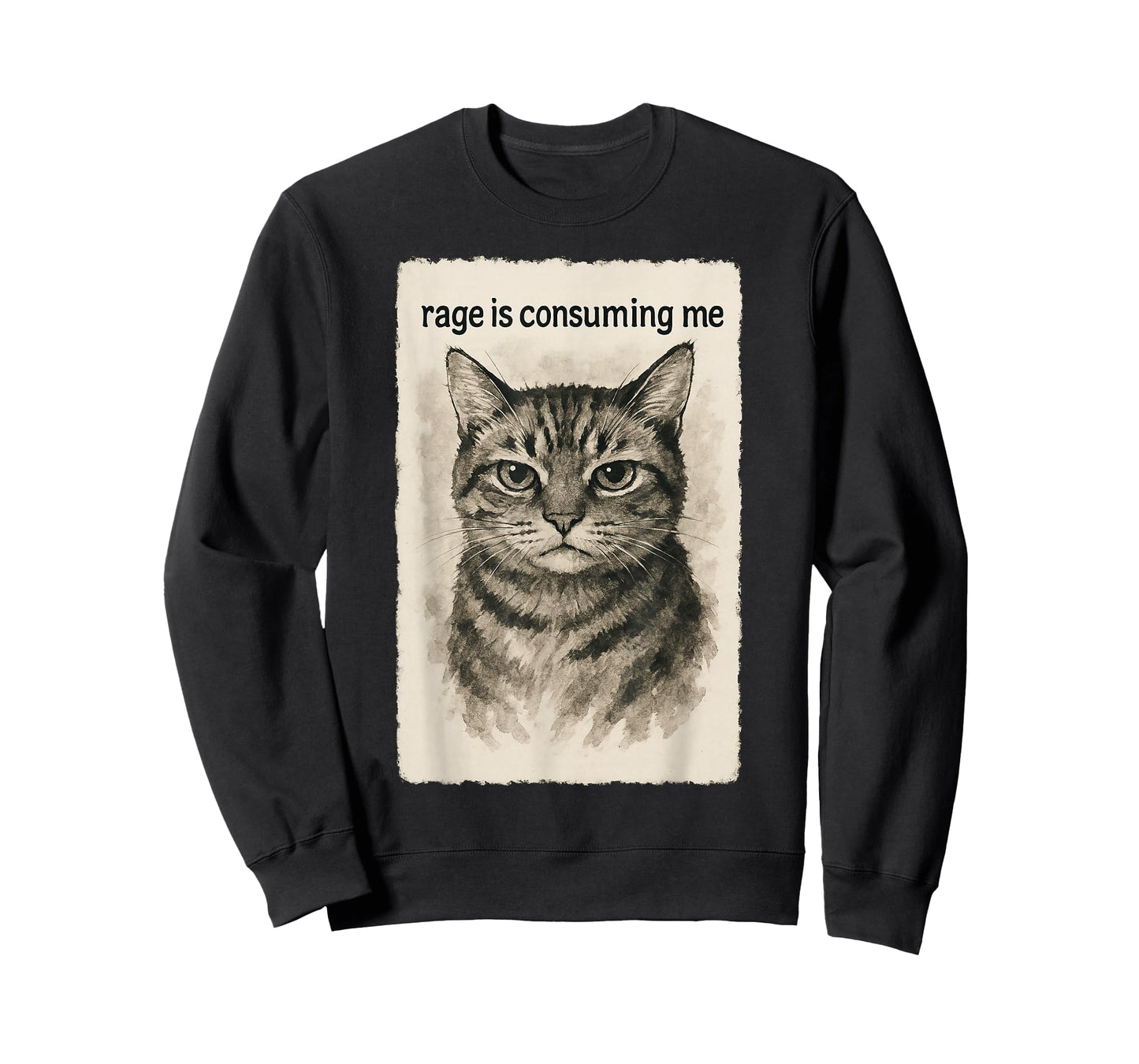 Rage is Consuming Me Funny Silly Staring Cat Meme Sumi-e T-Shirt
