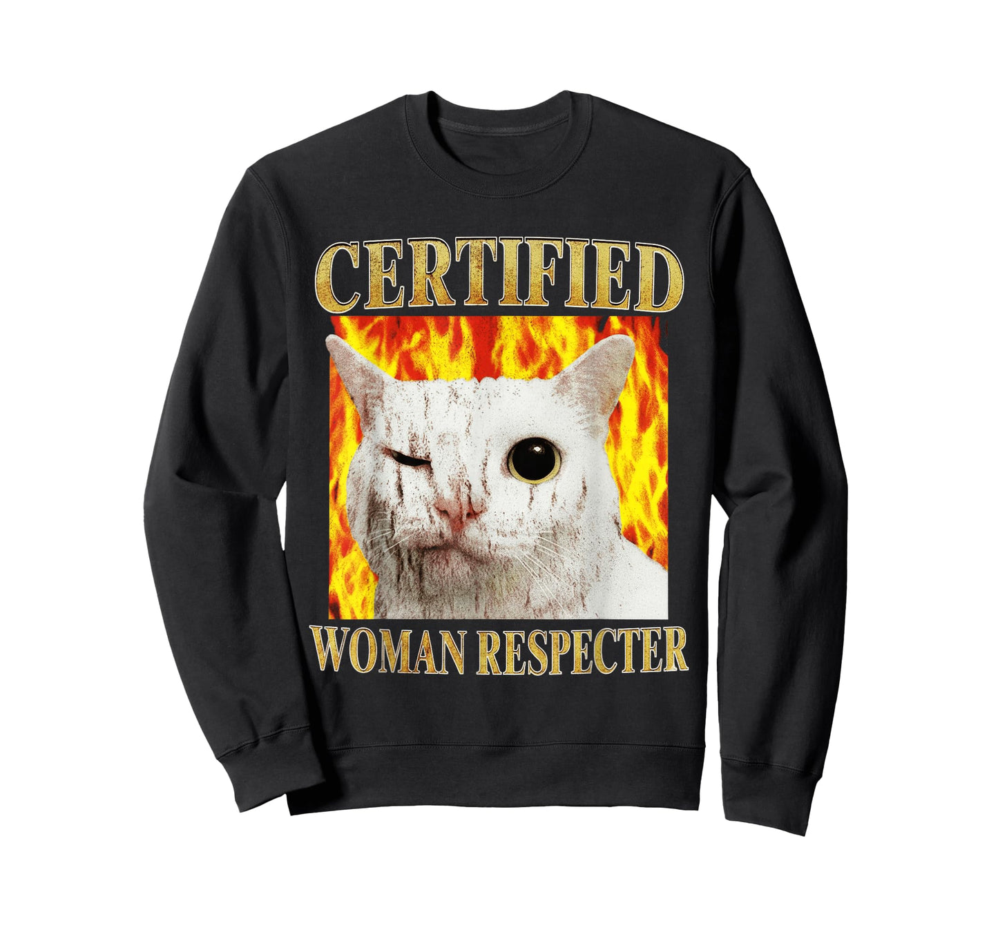 Certified Woman Respecter Winking Cat Meme T-Shirt