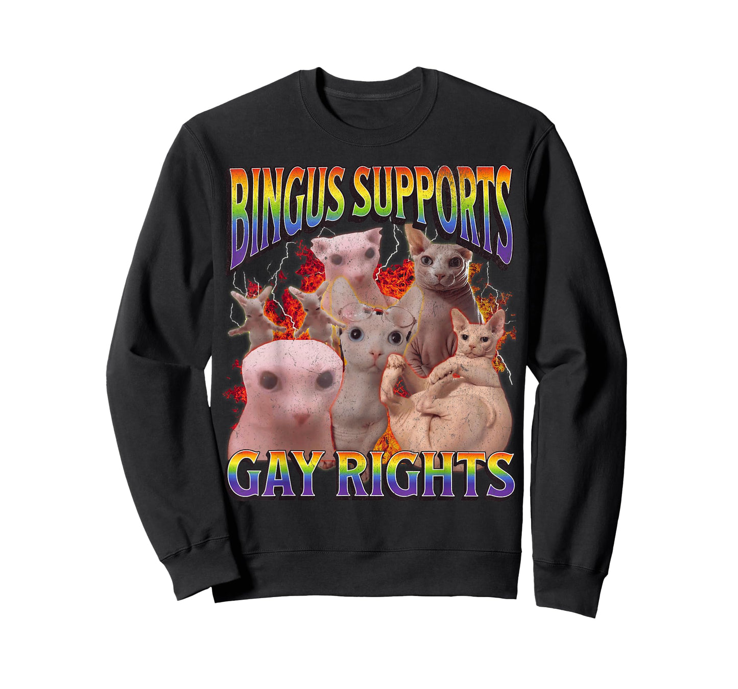 Bingus Supports Gay Rights Funny Sphinx Cat Meme Bootleg T-Shirt
