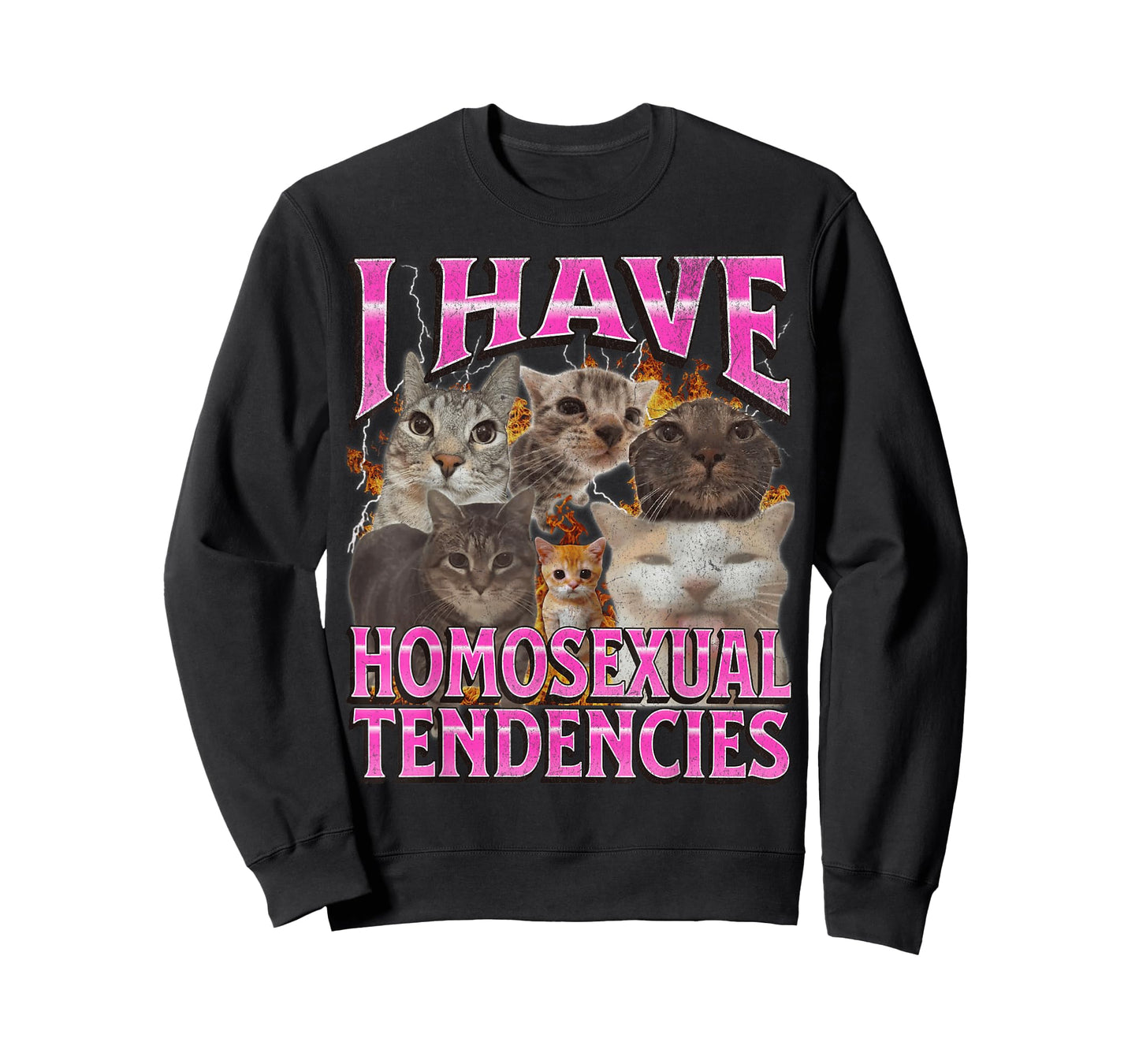 I Have Homosexual Tendencies Funny Cat Meme Bootleg Graphic T-Shirt