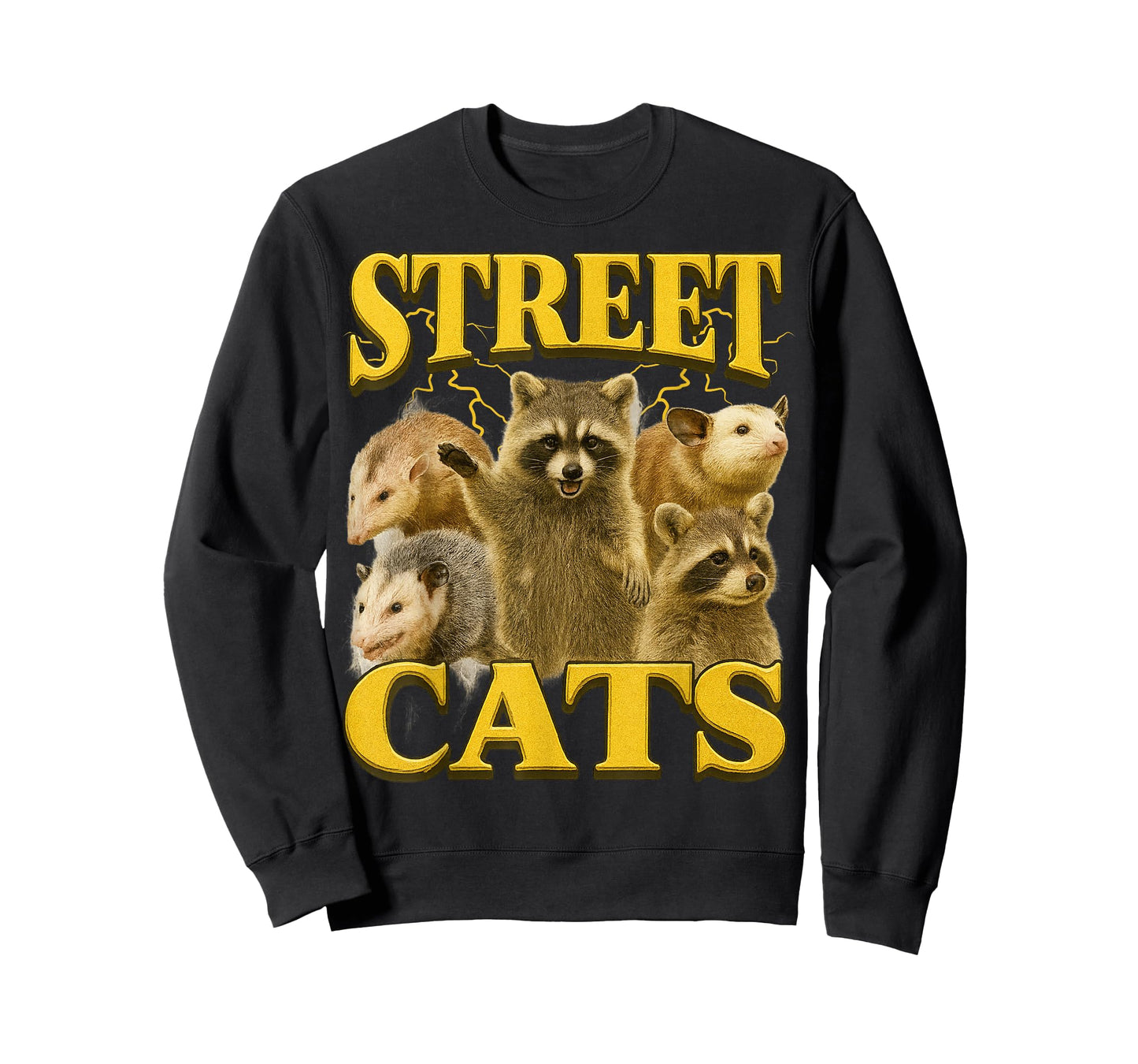 Funny Street Cats Funny Raccoon Bootleg Funny 90's Memes T-Shirt
