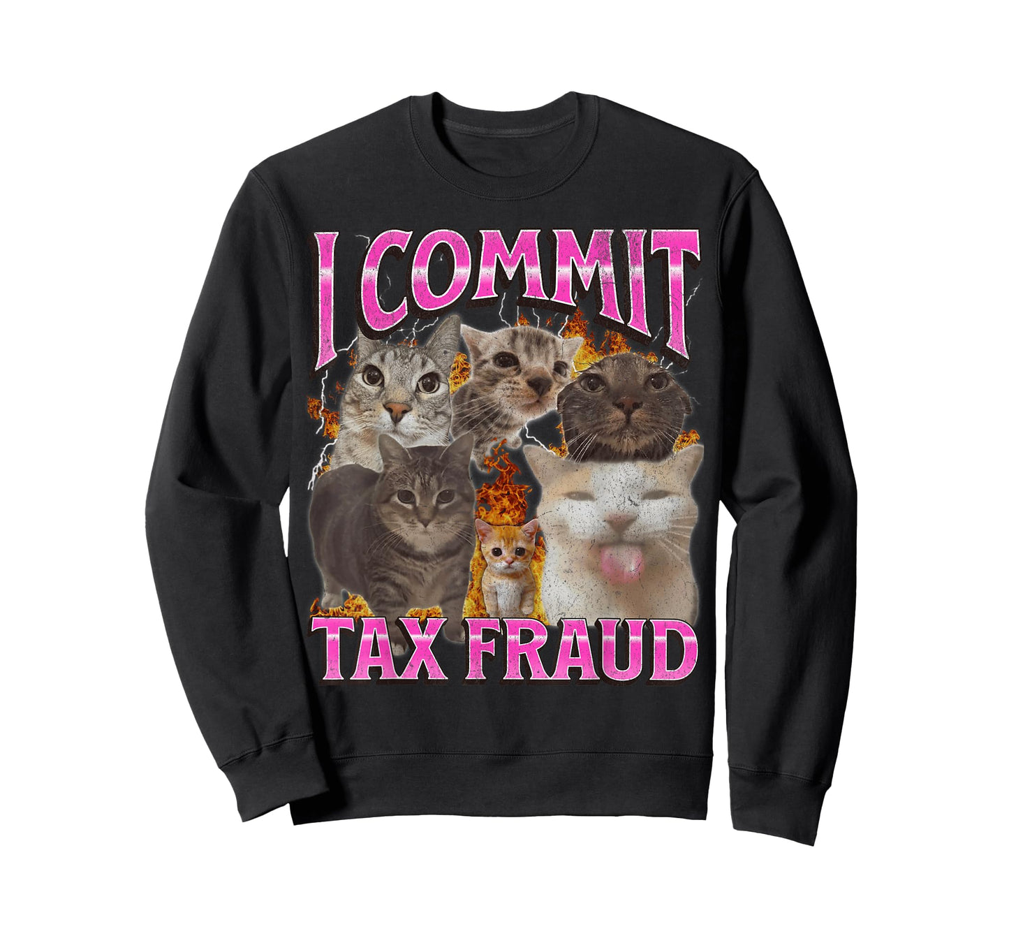 I Commit Tax Fraud Funny Cat Meme Bootleg Graphic T-Shirt for Men Women