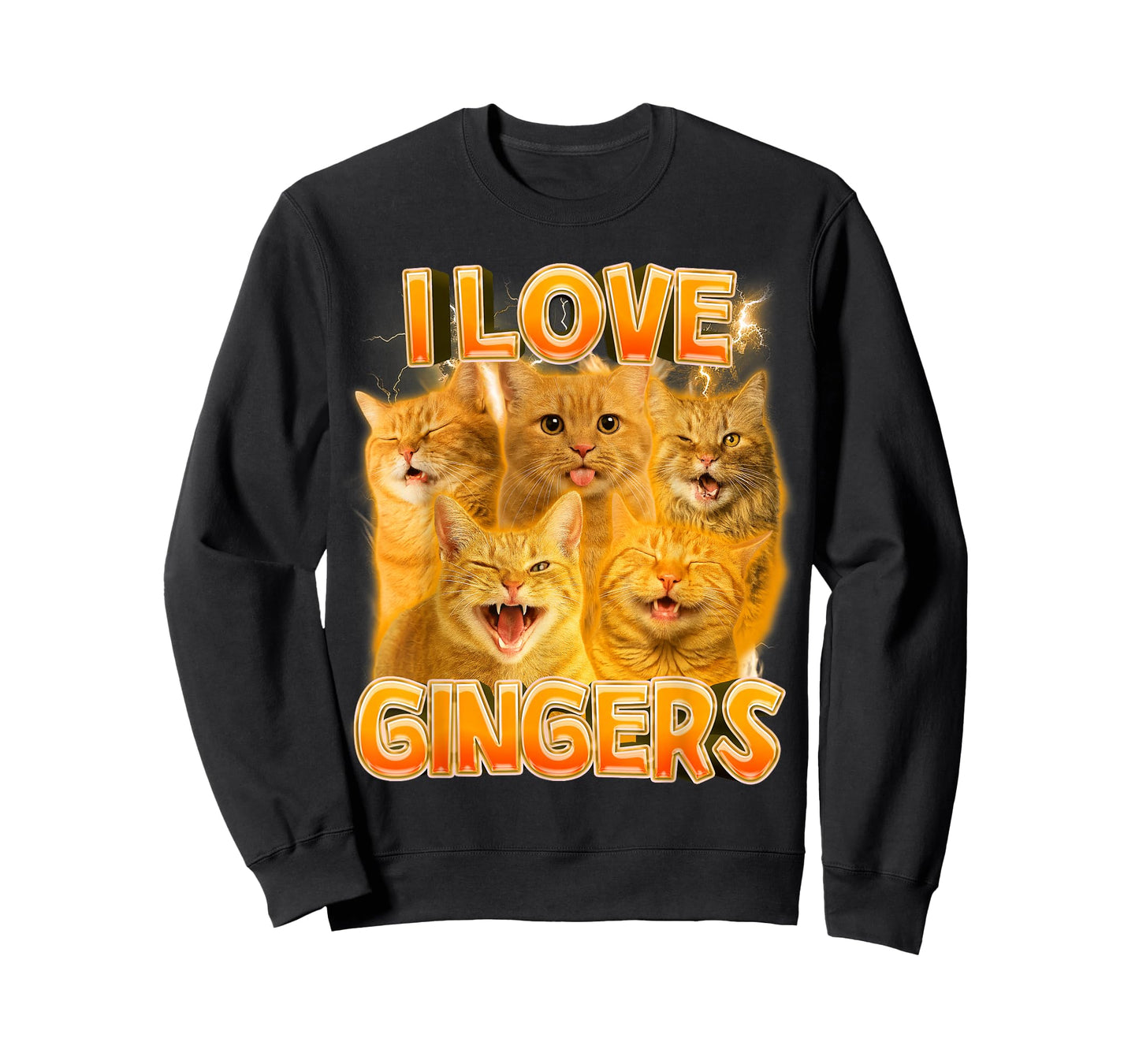 Ginger Cat Lover Cat Mom Cat Person Funny I Love Gingers T-Shirt