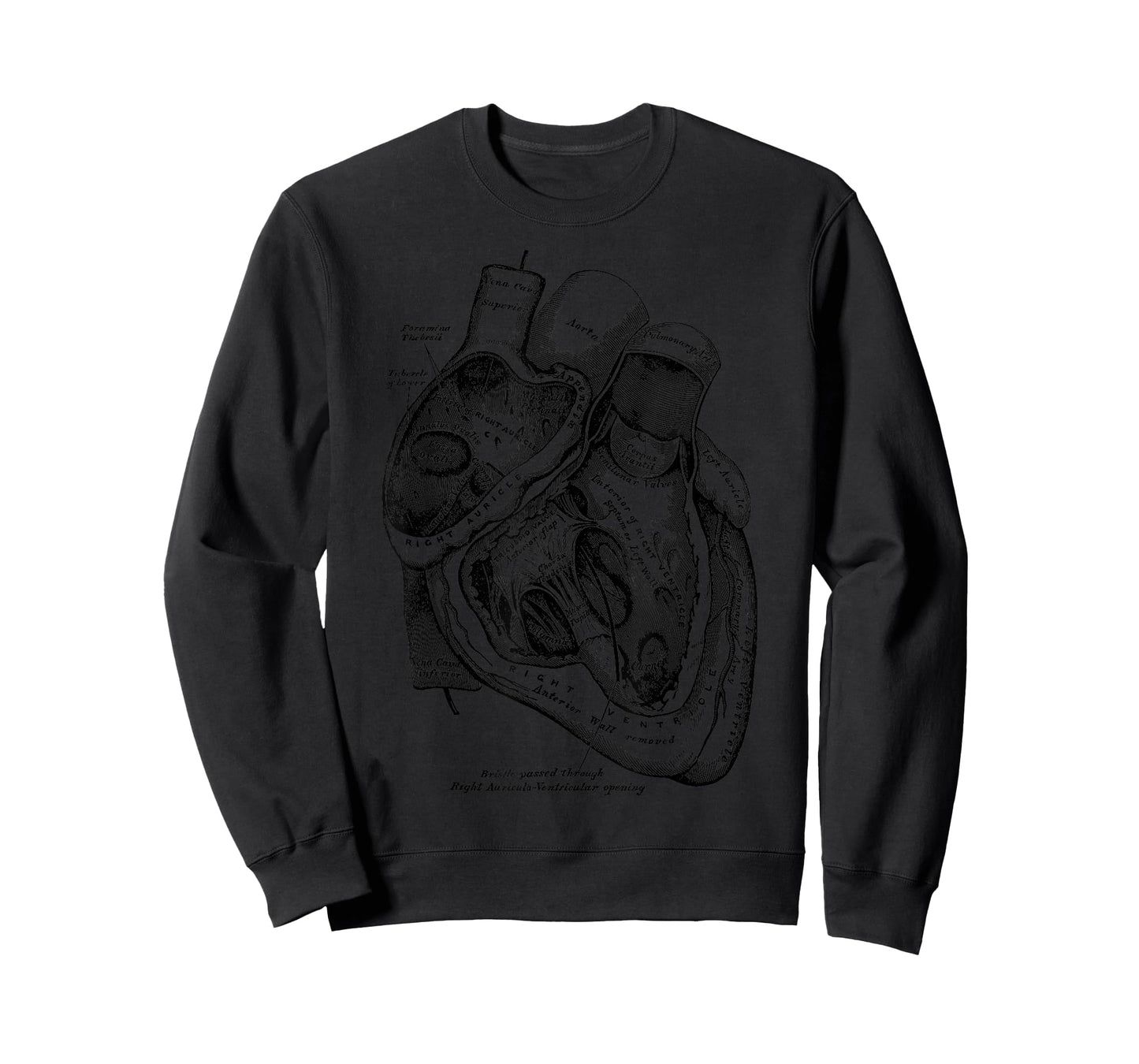 Anatomical Human Heart Medical Anatomy Vintage T-Shirt