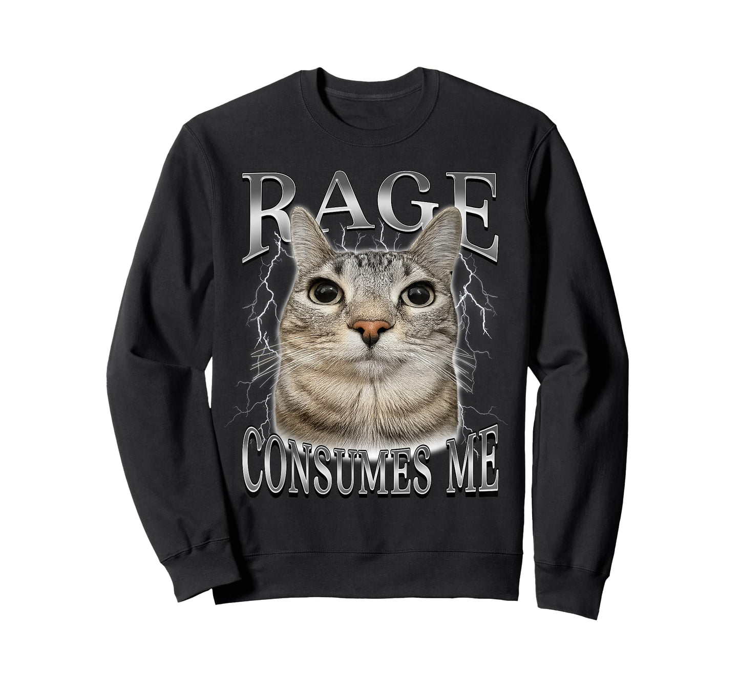 Rage Consumes Me Funny Silly Staring Cat Meme Women Men T-Shirt