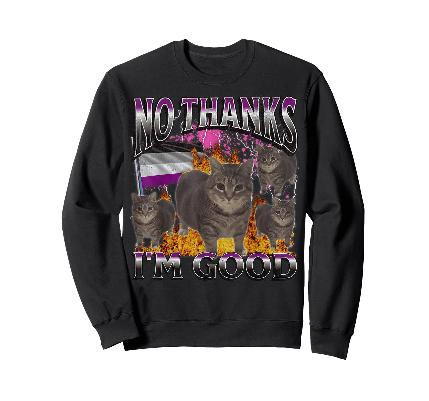 No Thanks I'm Good Funny Asexual Lgbtq Cat Meme Bootleg T-Shirt