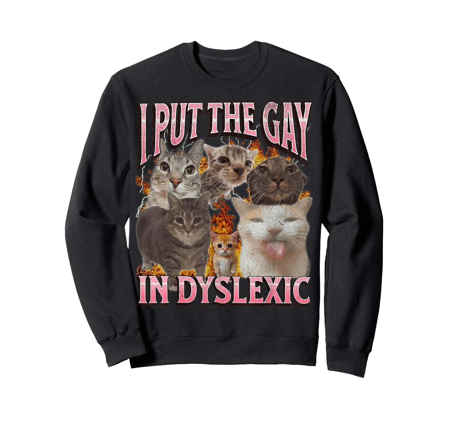 I Put The Gay in Dyslexic Funny Cat Meme Bootleg Graphic Men Women T-Shirt