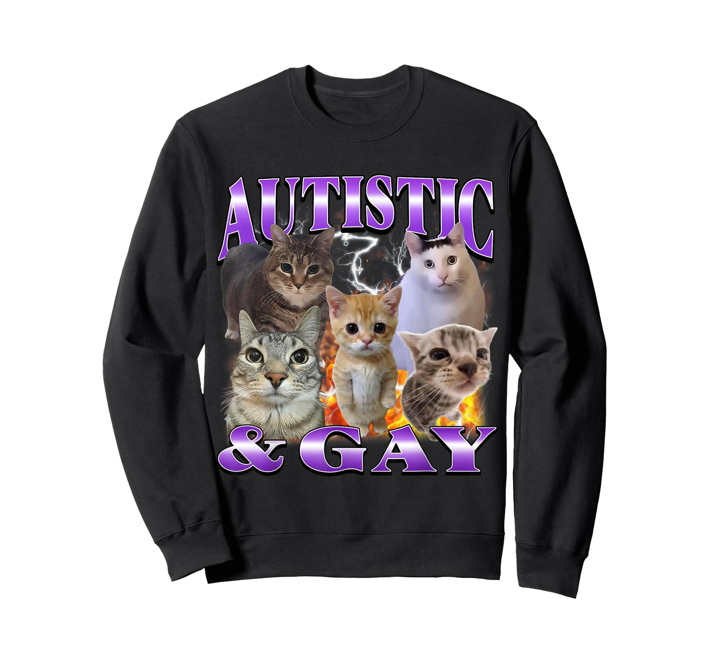 Autistic and Gay Funny Offensive Cat Meme Bootleg Men Women T-Shirt