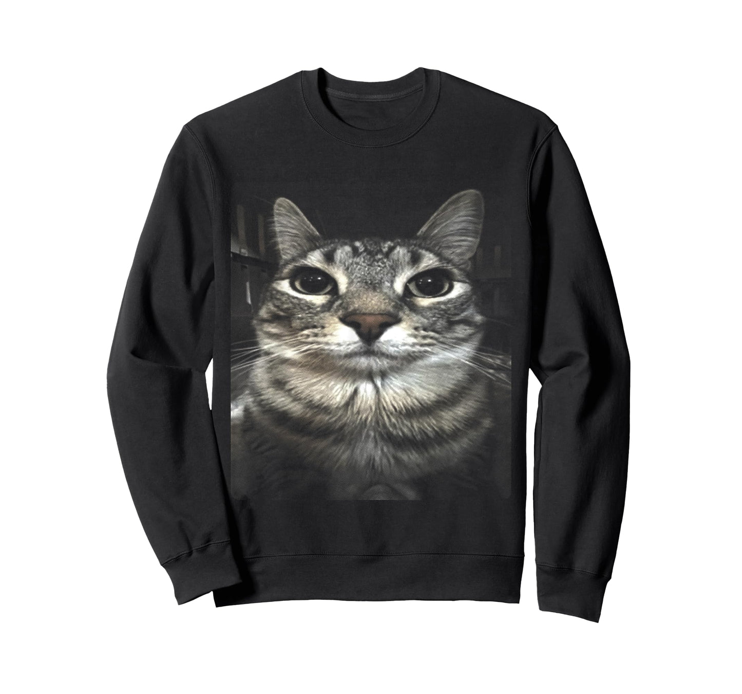 Silly Cat Meme T-Shirt