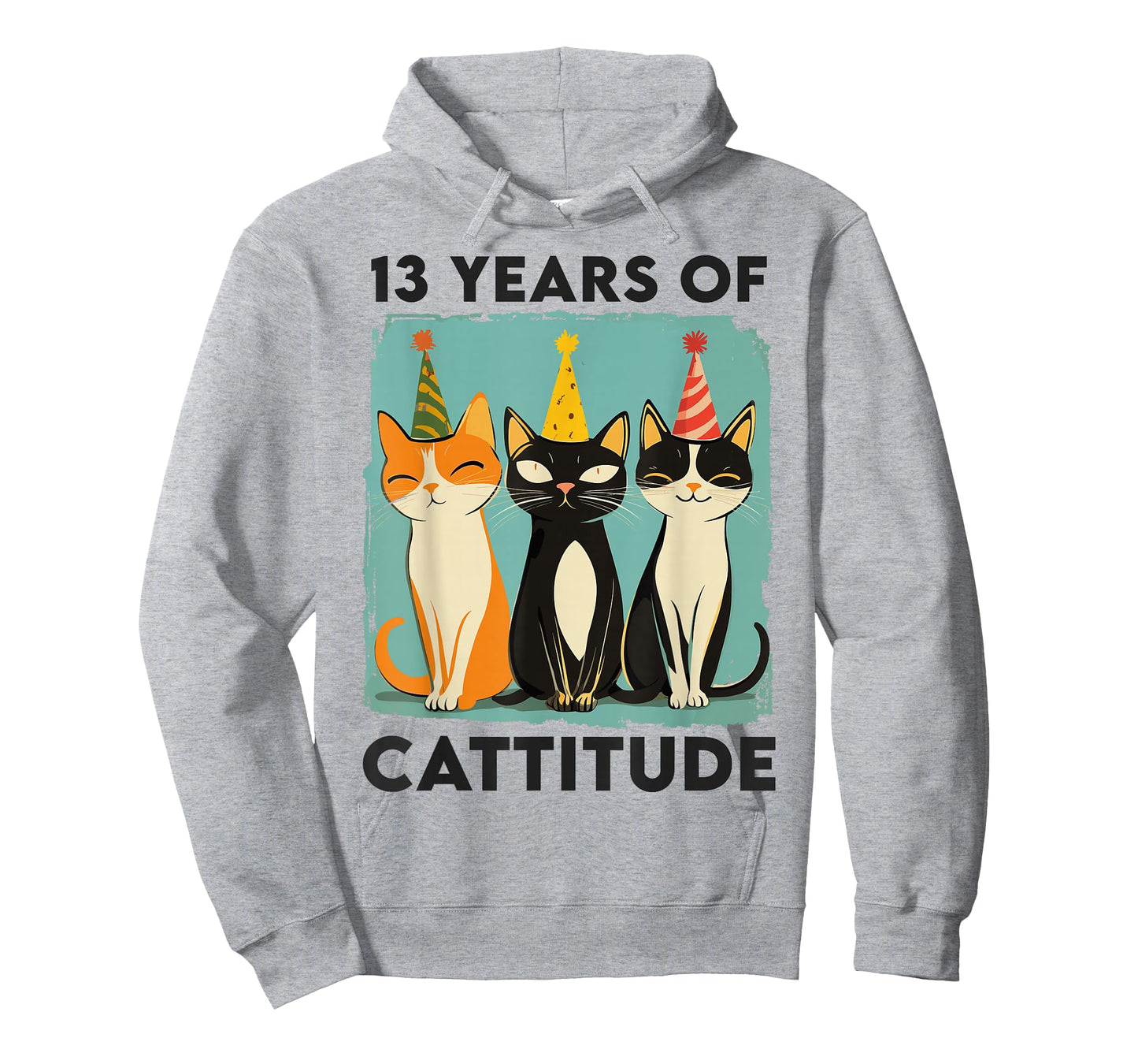 13 Years Of Cattitude 13th Birthday Cat Lover 13 Years Old T-Shirt