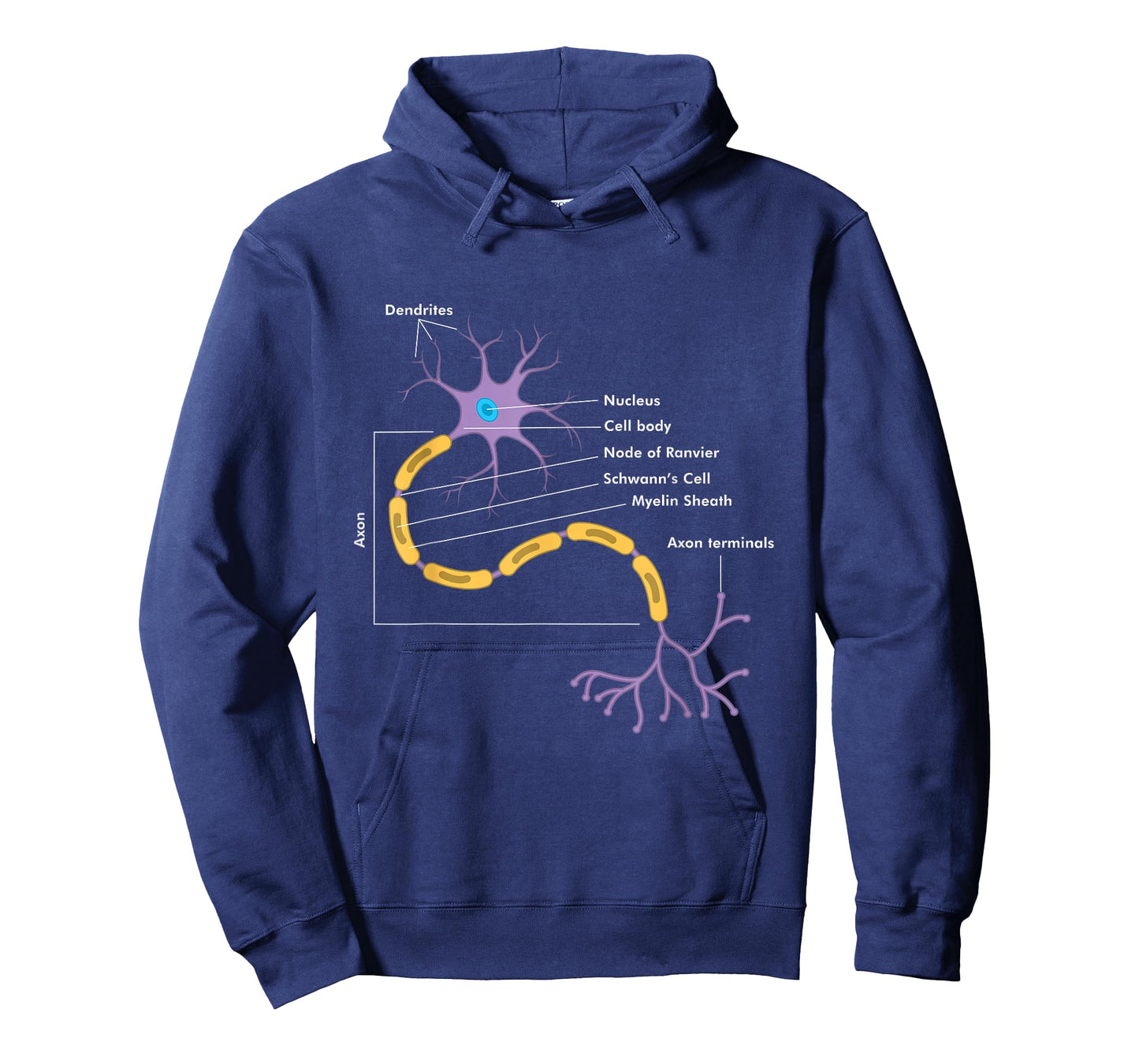 Anatomy Of Neuron Neurologist Gift T-Shirt