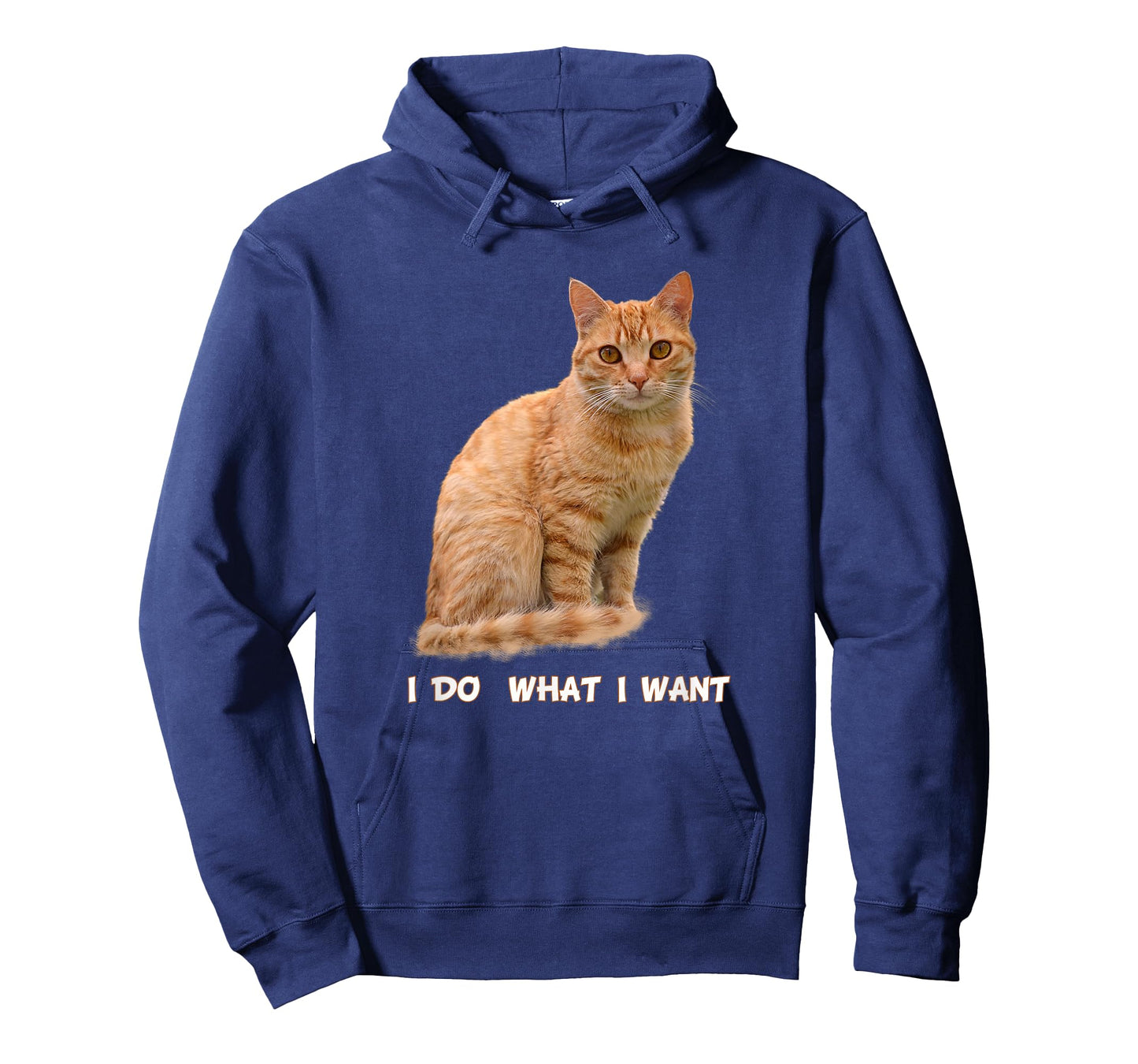 I Make What I Want Funny Orange Tabby Cat Lovers T-Shirt