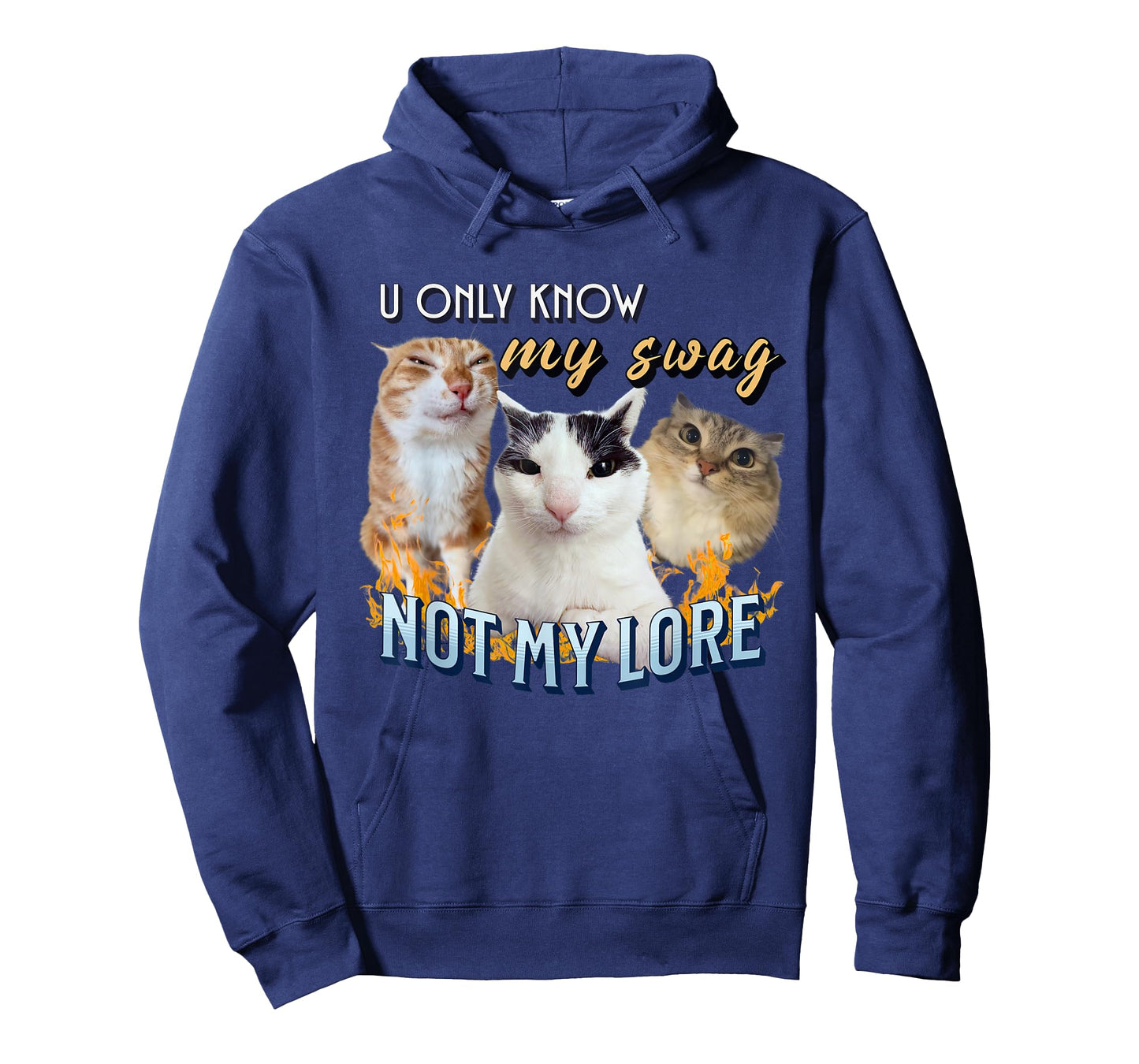 You Only Know My Swag Not Lore Funny Derpy Cat Meme Y2K T-Shirt for Men Women Kids