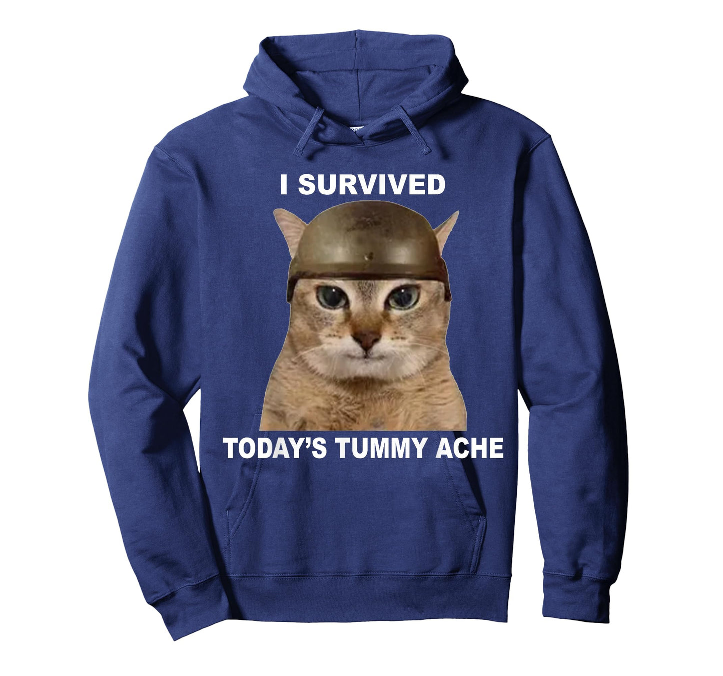 I Survived Today's Tummy Ache Funny Cat T-Shirt