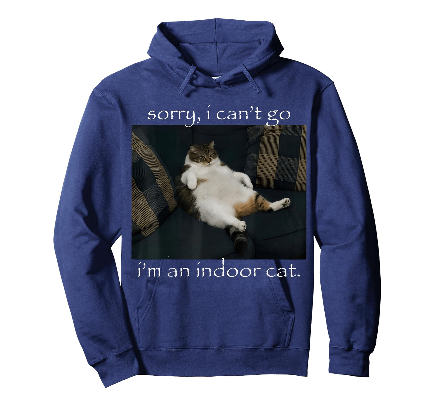 Sorry I Can’t Go I’m an Indoor Cat Funny Introvert Meme T-Shirt