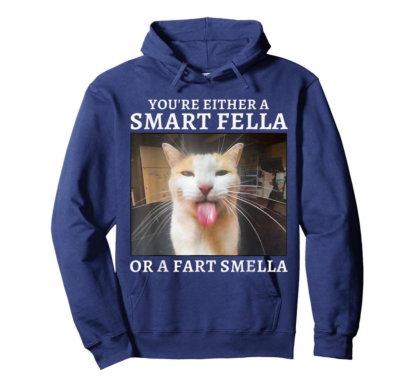 You're Either a Smart Fella or a Fart Smella Funny Cat Meme T-Shirt