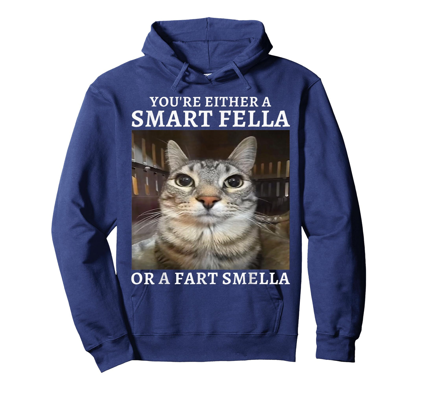 You're Either a Smart Fella or a Fart Smella Funny Cat Meme T-Shirt