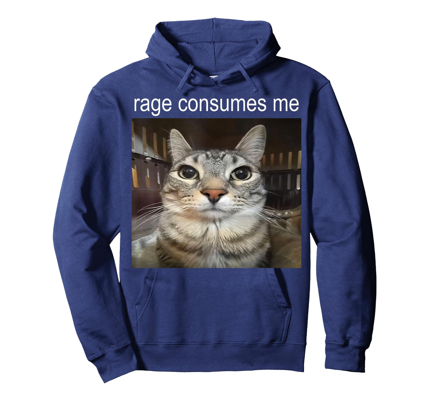 Funny Cat Meme Quote Retro Cat Lover Rage Consumes Me T-Shirt