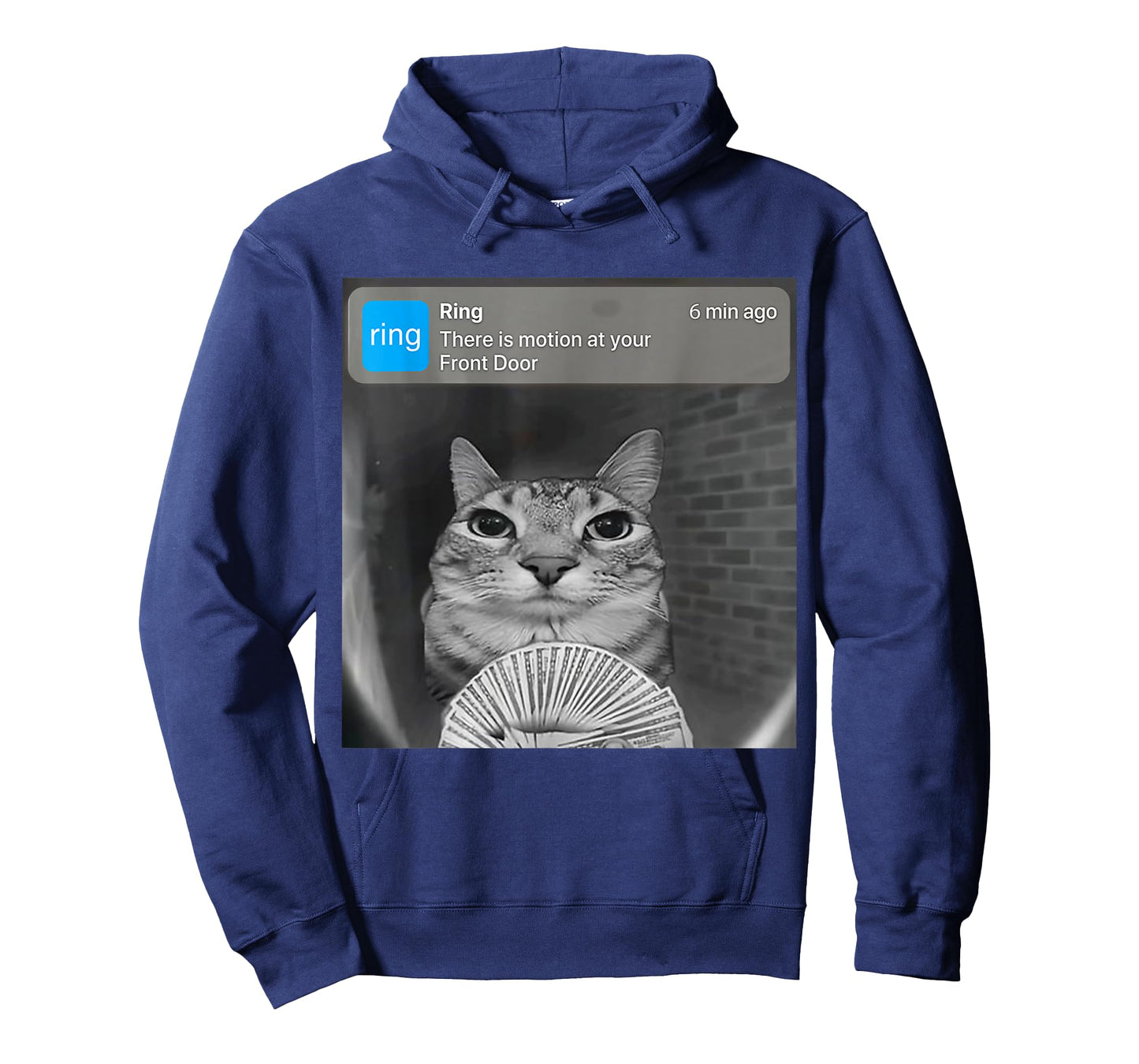 There is Motion at Your Front Door Funny Silly Cat Meme T-Shirt