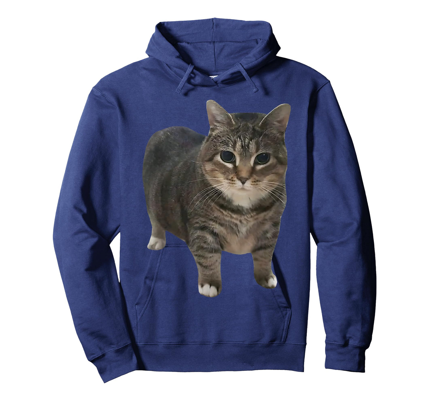 oiia oiia Spinning Cat Meme T-Shirt for Men Women