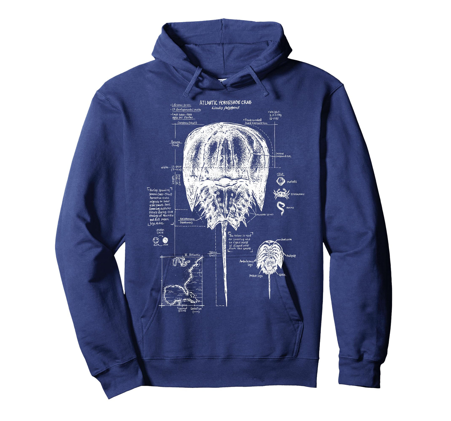 Atlantic Horseshoe Crab Anatomy Marine Biology Ocean Animal T-Shirt