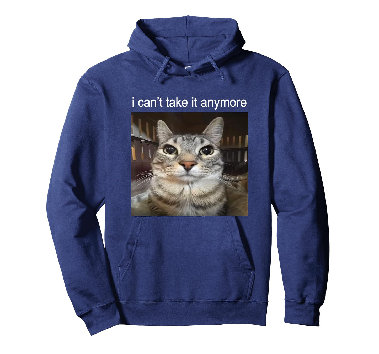 Silly Staring Cat I Can't Take It Anymore Meme T-Shirt