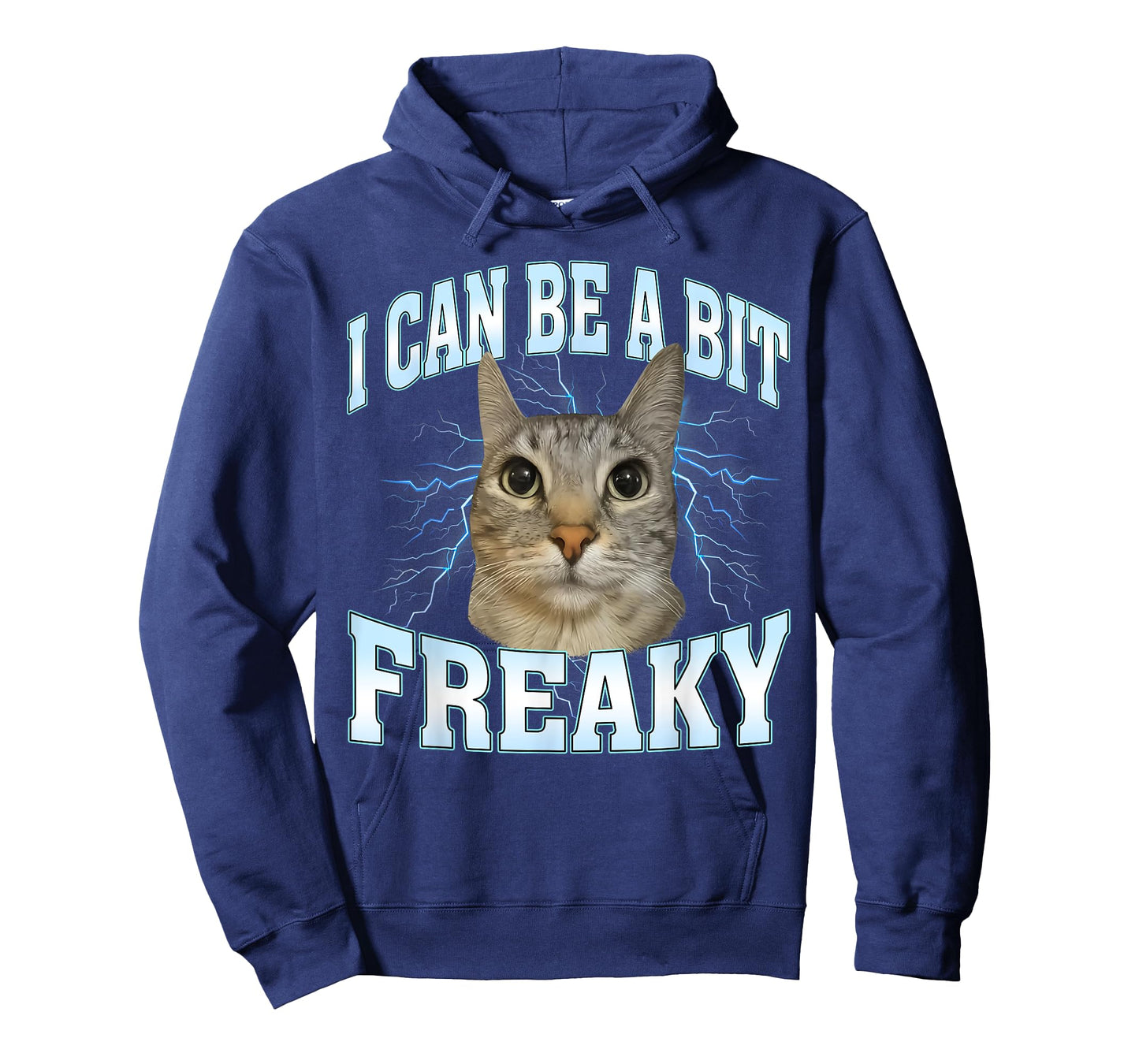 I Can Be A Bit Funny Cat Meme Internet Memes Joke T-Shirt