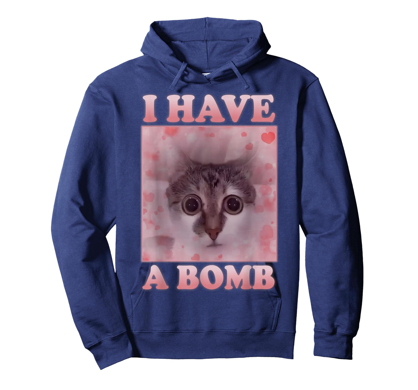 I Have A Bomb Funny Silly Cat Meme Brainrot Weird Dank Meme T-Shirt