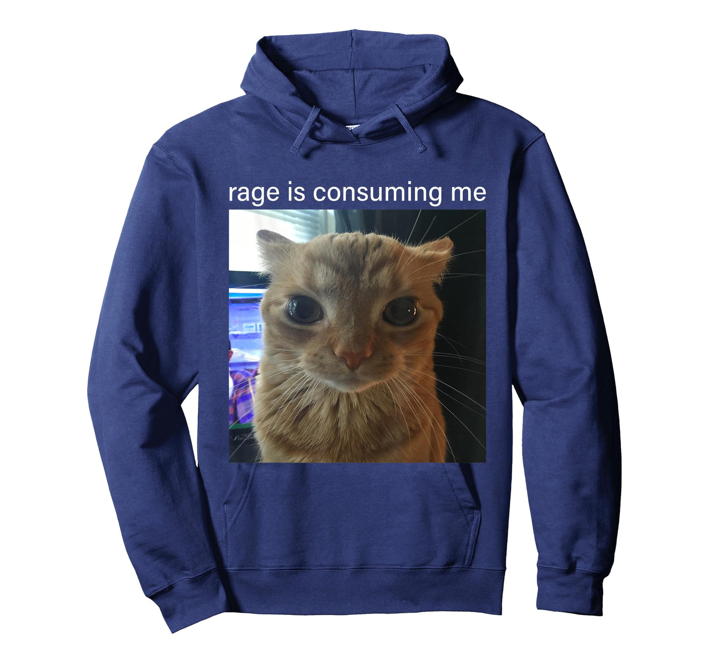 Rage Is Consuming Me Cute Silly Staring Cat Meme T-Shirt