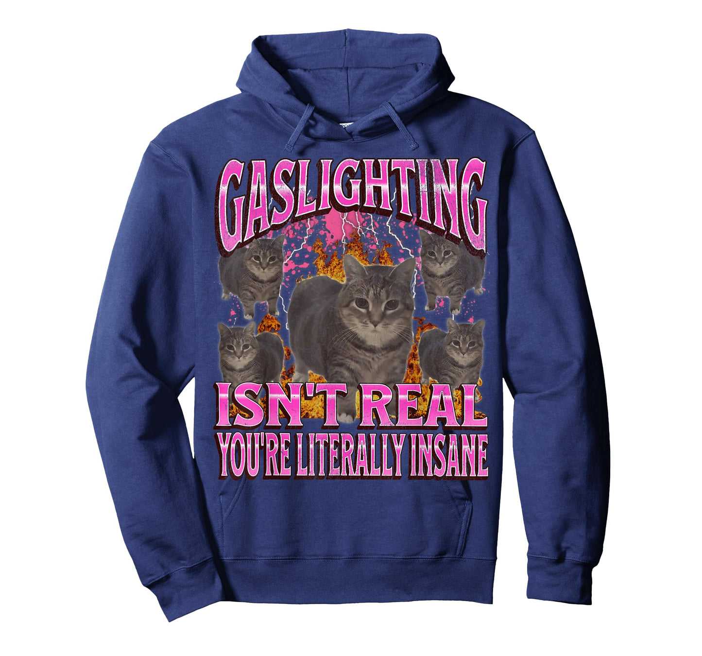 Gaslighting Isn't Real Funny Cat Meme Bootleg Graphic T-Shirt for Men Women