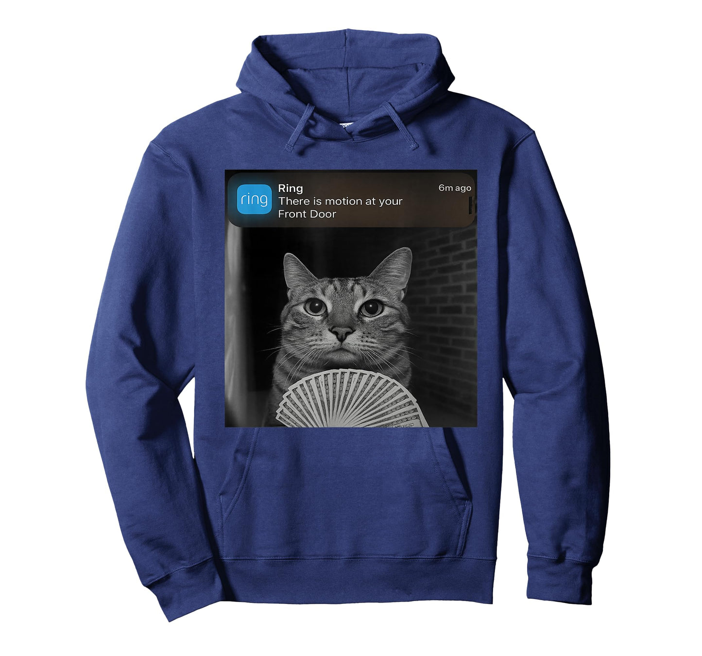 Ring There is Motion at Your Front Door Funny cat Meme T-Shirt