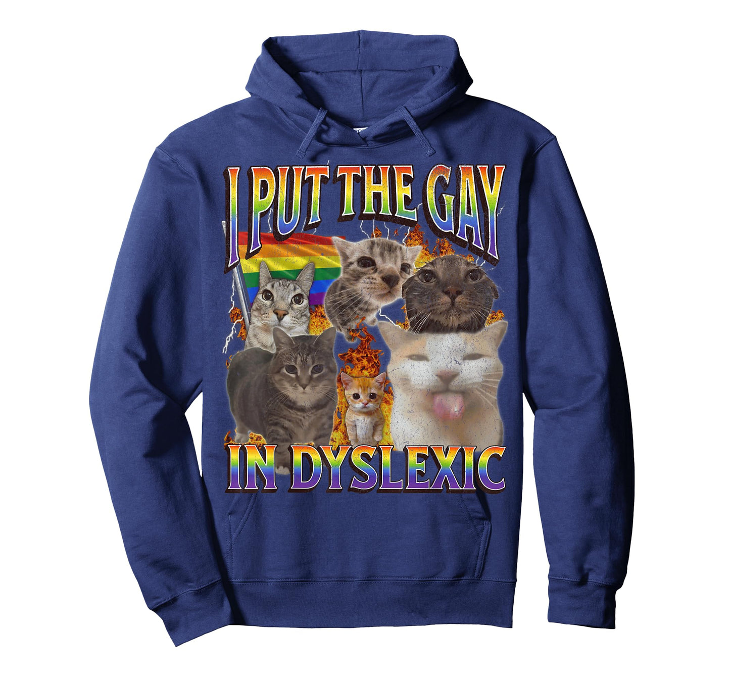 I Put The Gay In Dyslexic Funny Cat Meme Bootleg Graphic T-Shirt