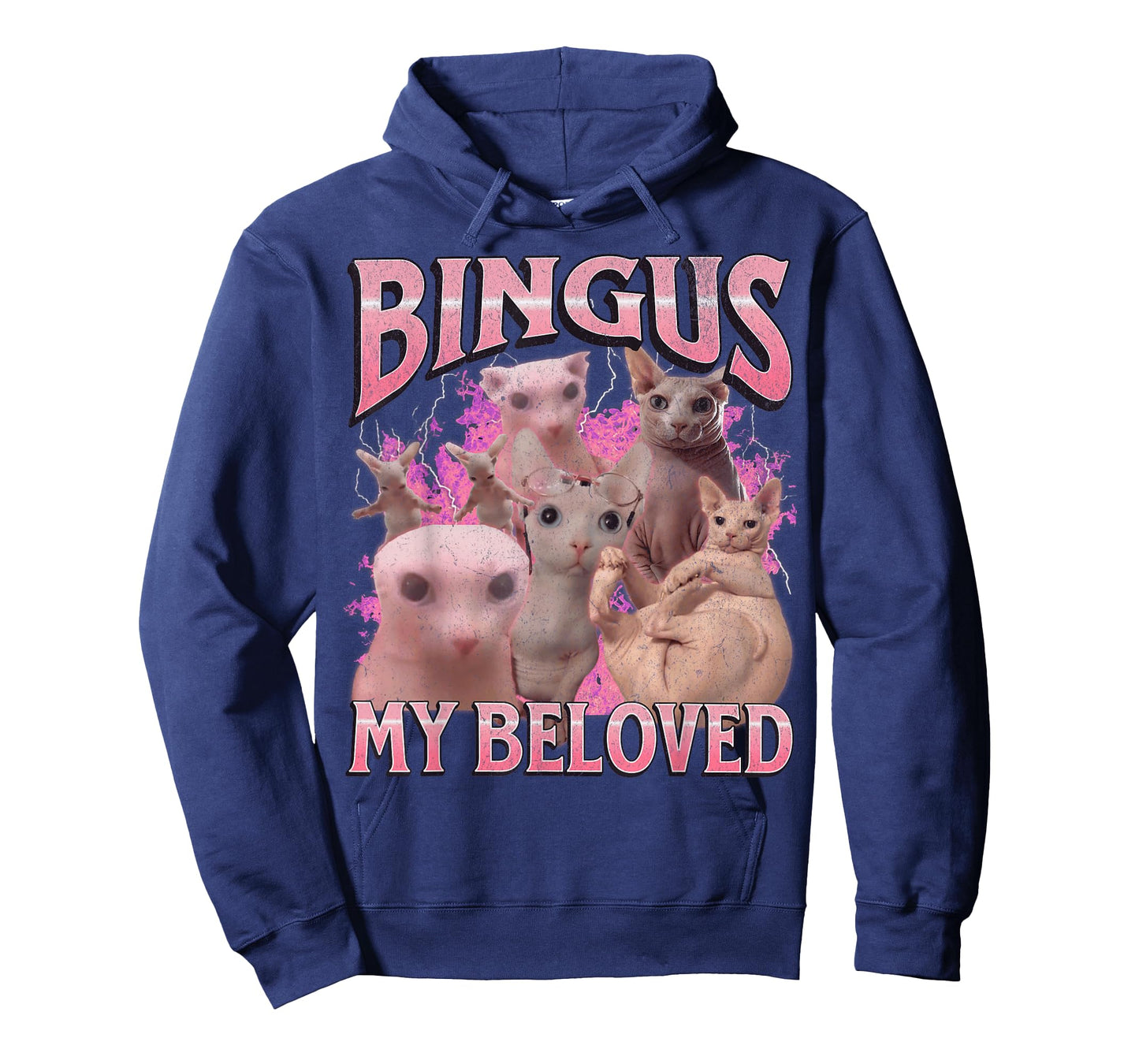 Bingus My Beloved Funny Sphinx Cat Meme Bootleg Graphic T-Shirt for Men Women Kids