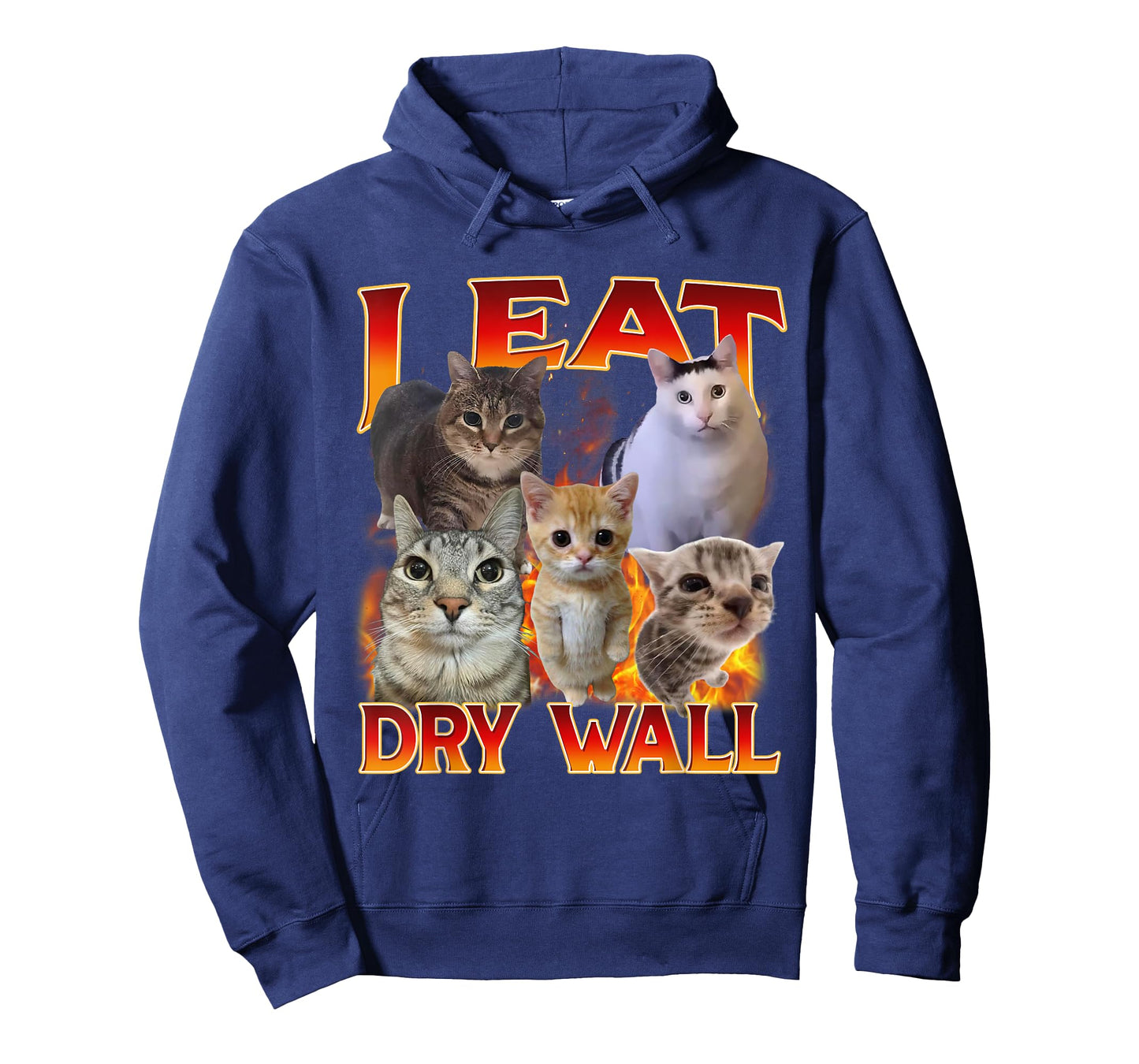I Eat Dry Wall I Eat Cement Funny Cat Meme Bootleg Graphic T-Shirt