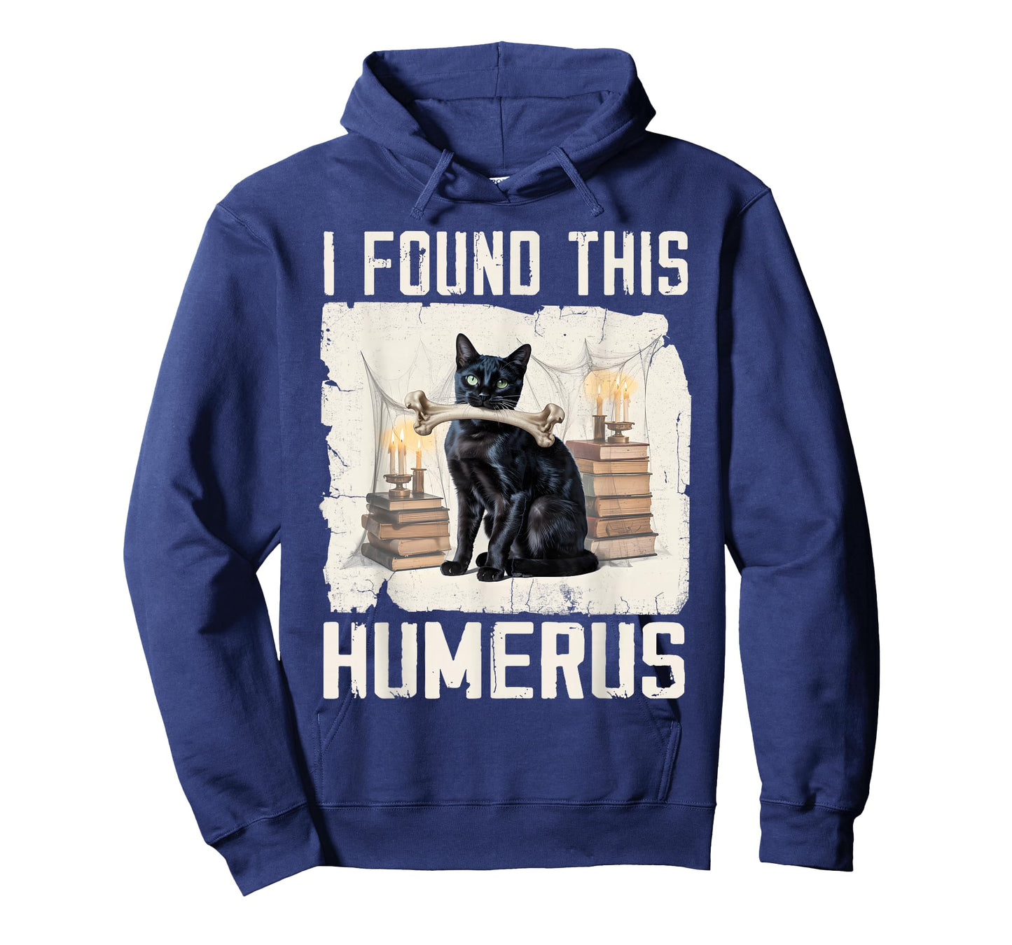 I Found This Humerus Vintage Funny Scary Black Cat Halloween T-Shirt