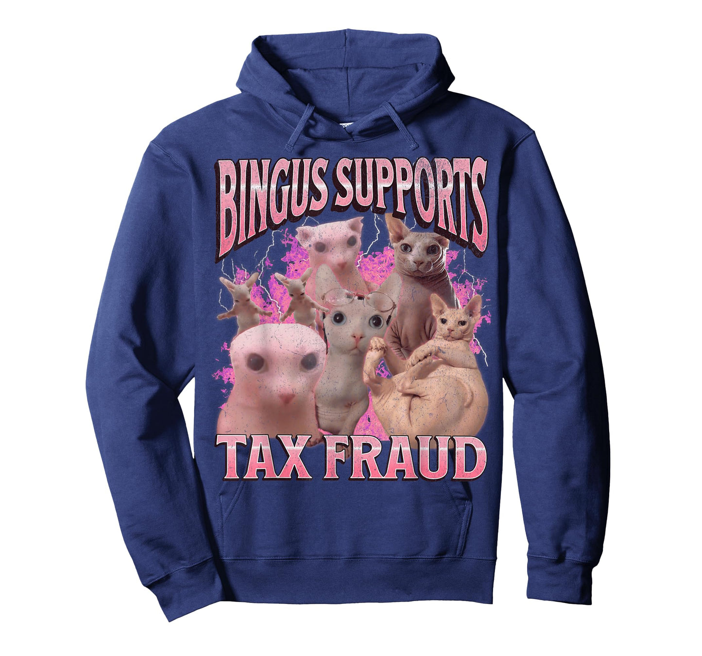 Bingus Supports Tax Fraud Funny Sphinx Cat Meme Bootleg T-Shirt