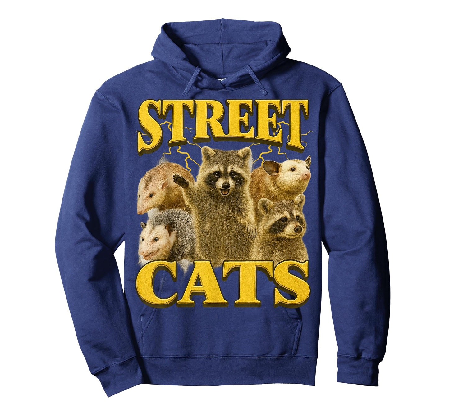 Funny Street Cats Funny Raccoon Bootleg Funny 90's Memes T-Shirt