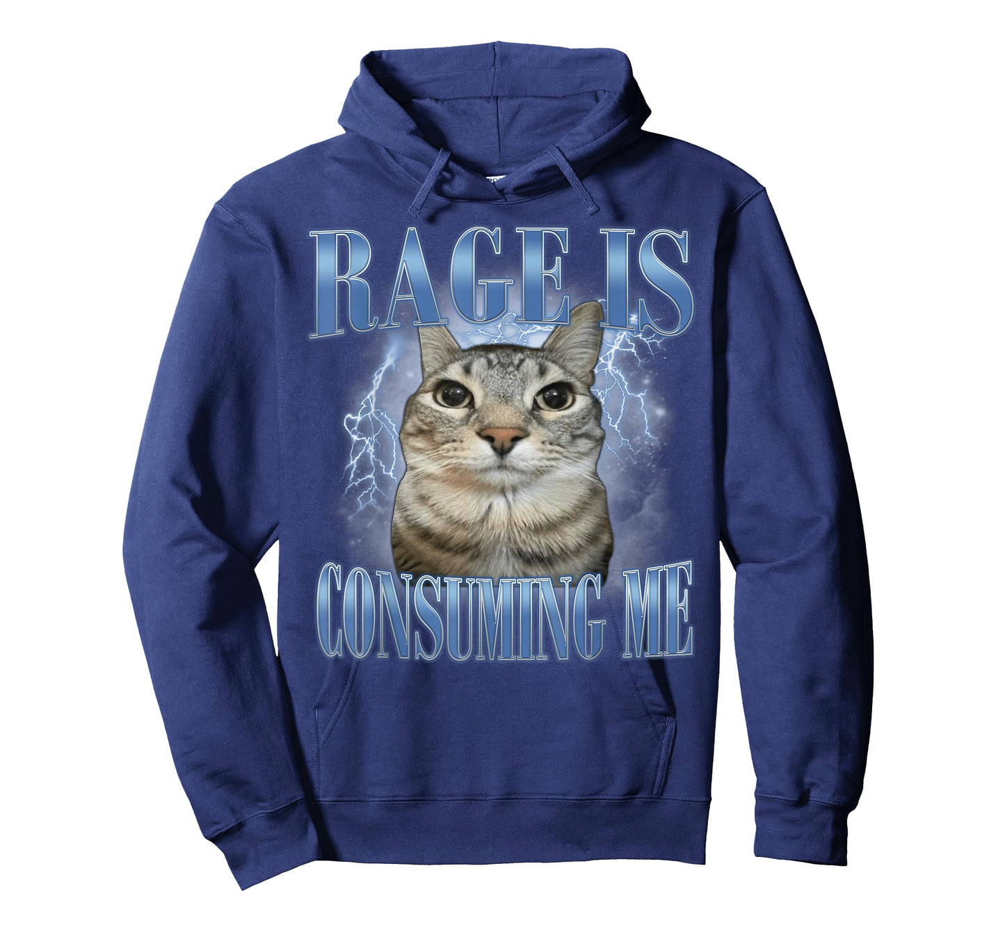 Rage is Consuming Me Silly Staring Cat Meme Funny Silly Cats T-Shirt