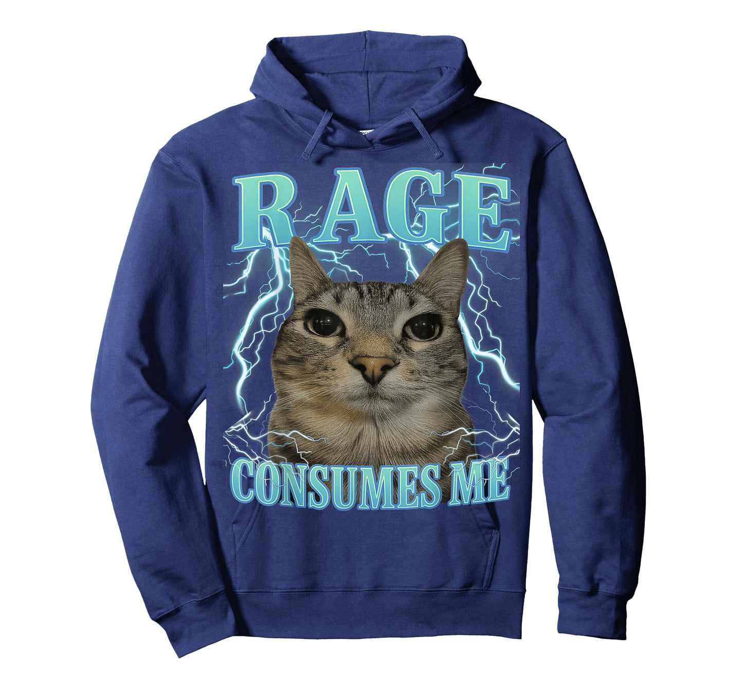 Rage Consumes Me Cat Silly Cat Meme Funny Men Women Graphic T-Shirt